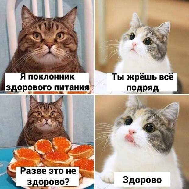 Что значит "здоровое питание"? Что значит "здоровое питание"?