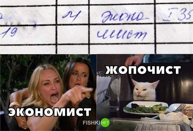 И снова всё опровергающий котик И снова всё опровергающий котик