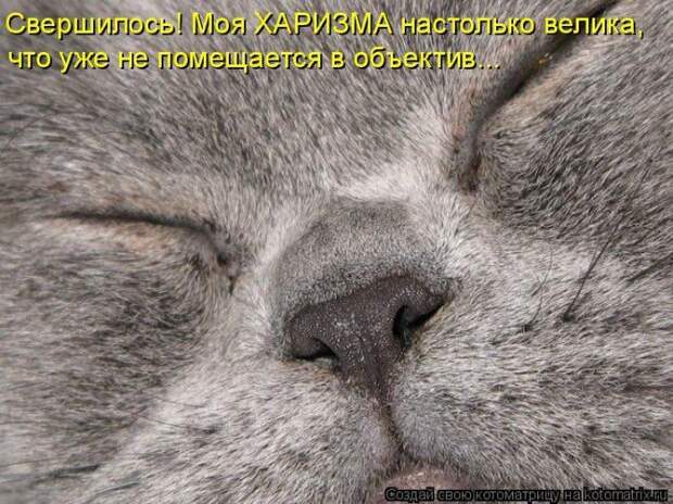 Мысли вслух :)