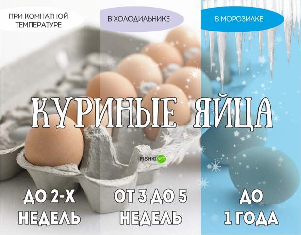 Реальный срок годности продуктов еда, продукты, хранение