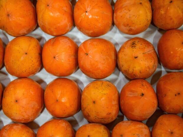 Утвердили межгосударственный ГОСТ на хурму — вступит в силу 1 ноября 2026 года