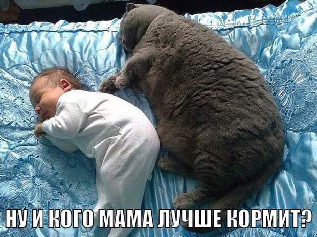 Без политики и прочей фигни, просто позитив демотиваторы, факты, юмор