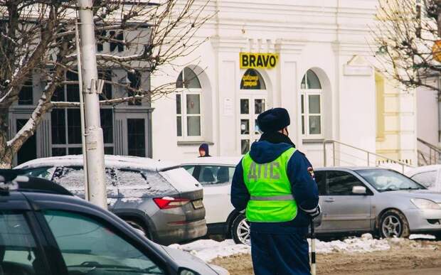 Госавтоинспекция Рязанской области задержала 19 пьяных водителей за три дня