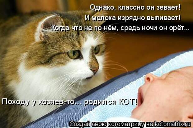 Котоматрица: Однако, классно он зевает! Походу у хозяев-то... родился КОТ! И молока изрядно выпивает! Когда что не по нём, средь ночи он орёт...