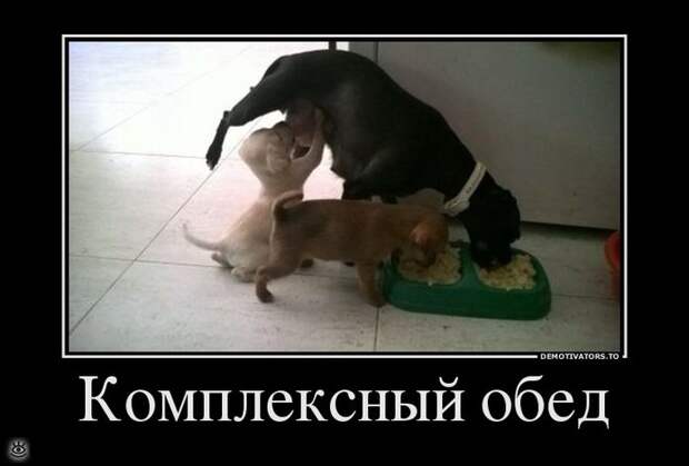Спасибо женщинам за эволюцию! 6