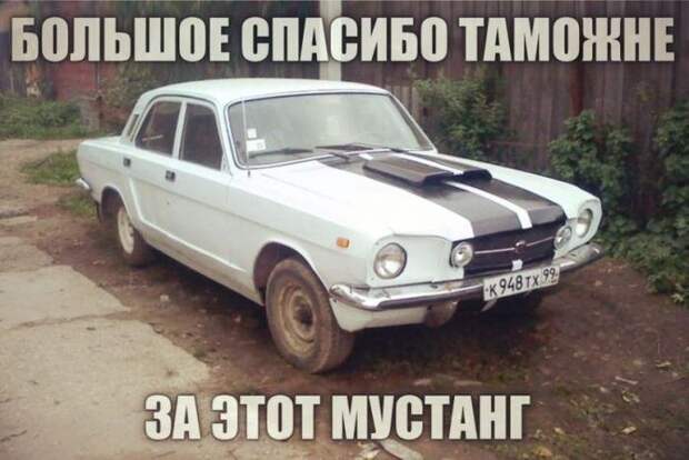 Новая пачка автоприколов