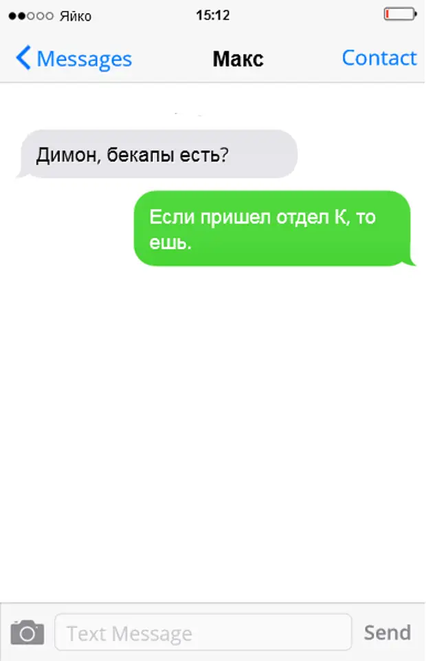 Max message. Бэкап приколы. Шутки про бэкап. Анекдот про бэкап. Переписка айтишников.