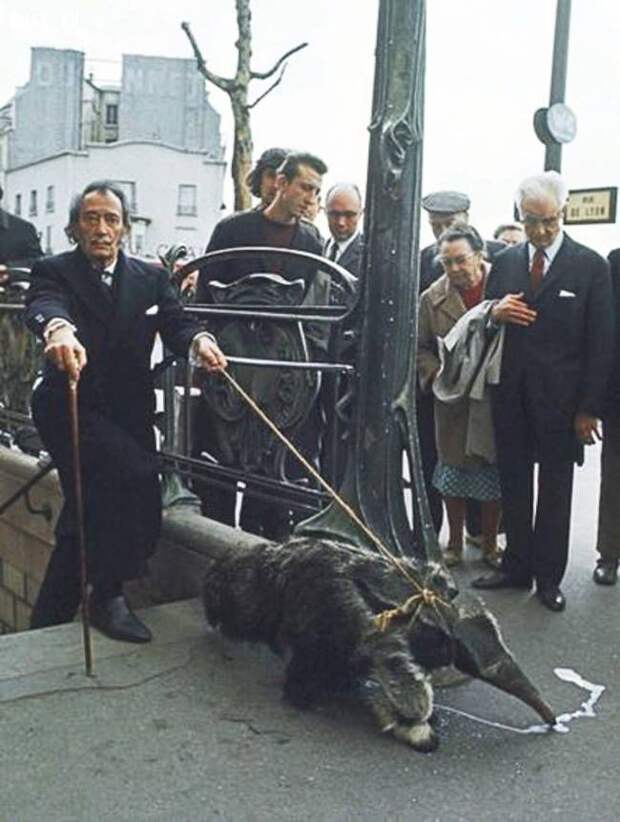 редкие исторические фотографии 