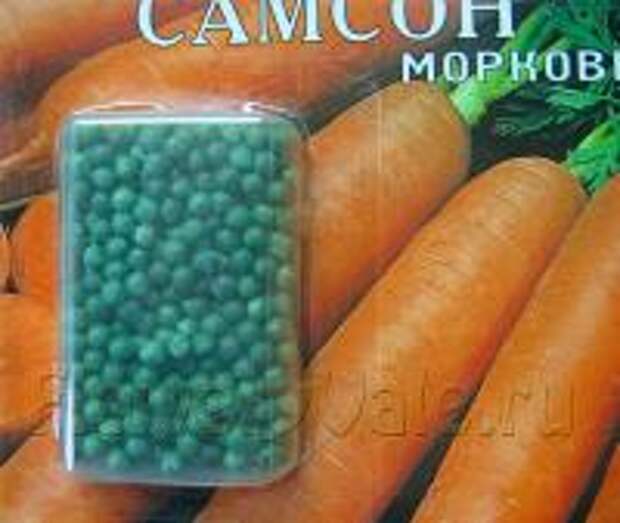 Дражированные семена моркови Дражированные семена моркови