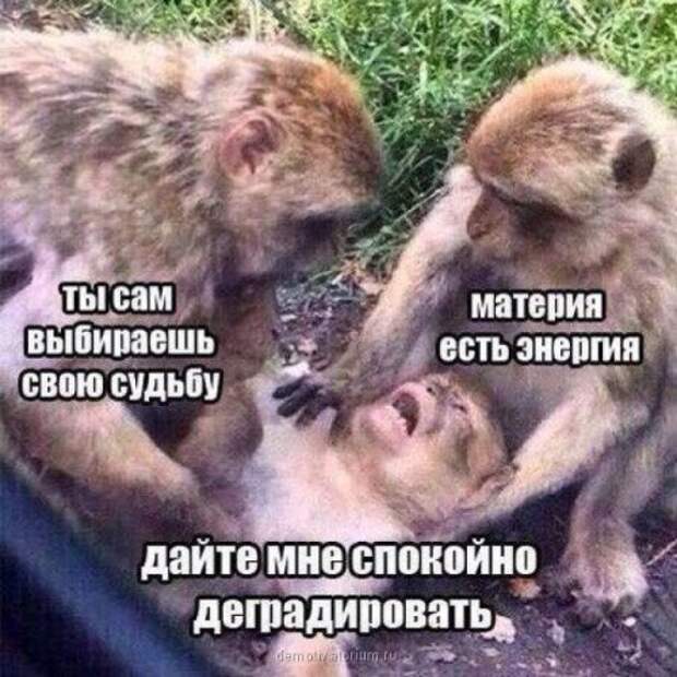 Прикольные картинки на Бугаге (49 шт)