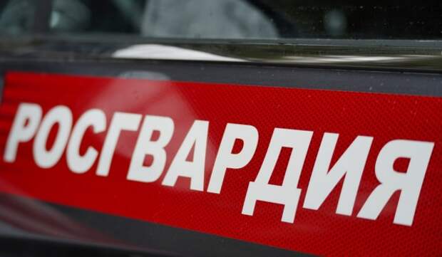 Росгвардейцы нашли потерявшуюся девочку на юго-западе Москвы