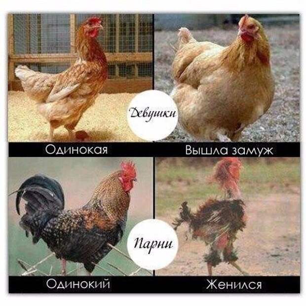 Прикольные картинки снежным вечером (54 шт)