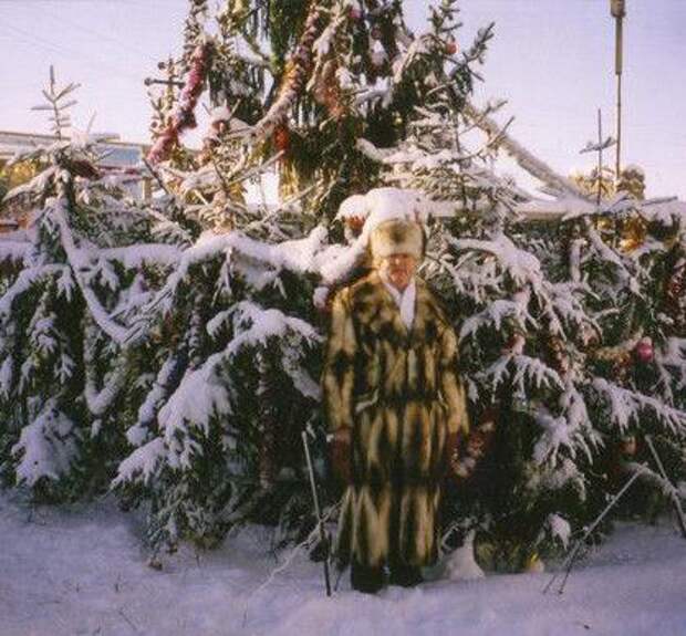жених