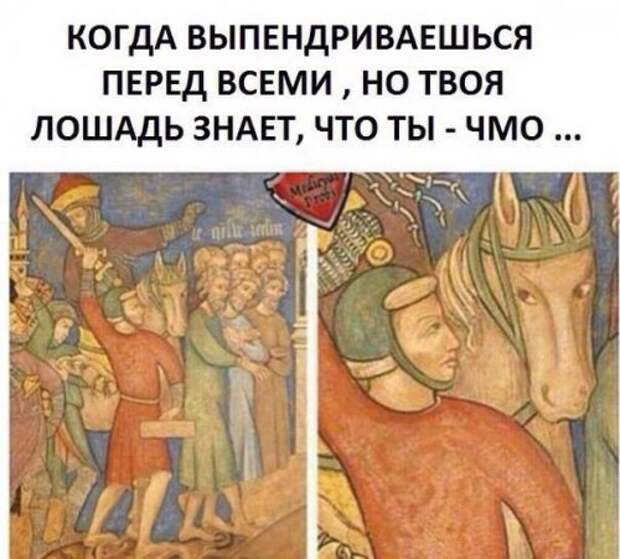 Прикольные картинки выходного дня (39 шт)