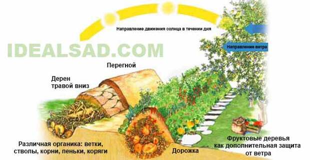 как сделать высокие грядки без ограждений