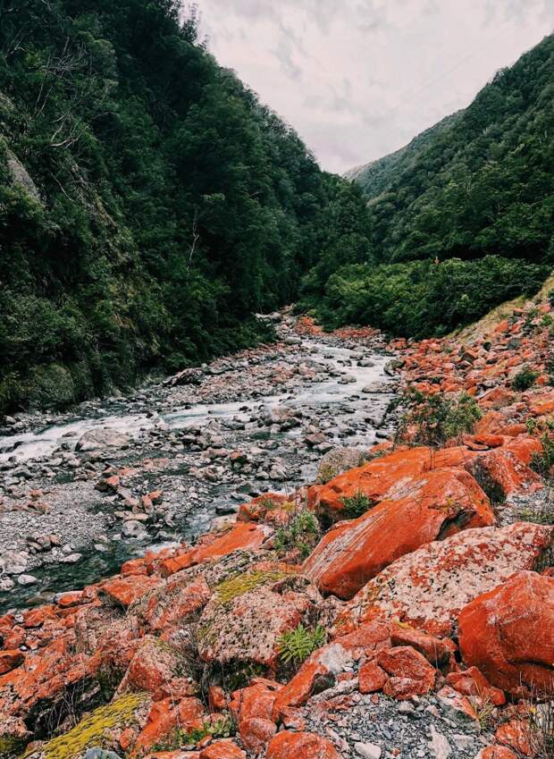 Красота природы на фотографиях