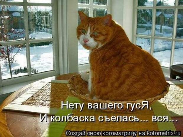 Мысли вслух :)