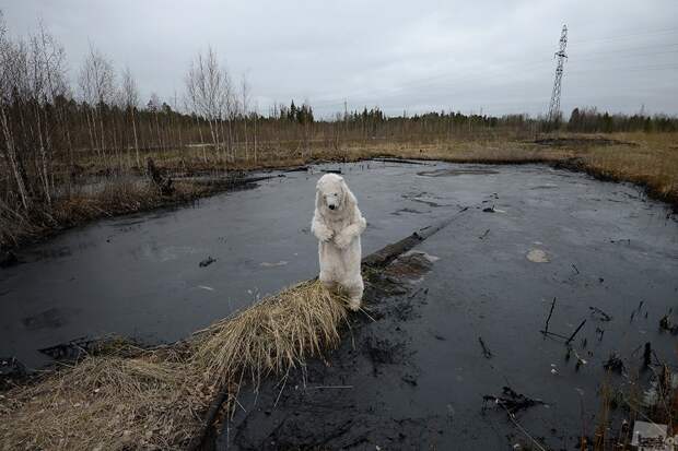 Лучшие фотографии России