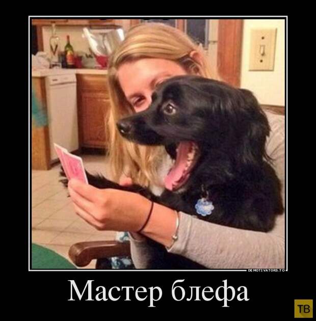Подборка демотиваторов 14. 10. 2014 (31 фото)