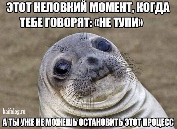 Философские открытки (40 картинок) Философские открытки (40 картинок)