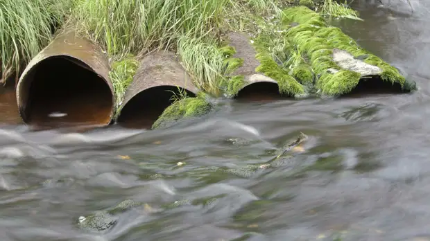Объём штрафов в Подмосковье за нарушение экологических норм составил 127 млн рублей