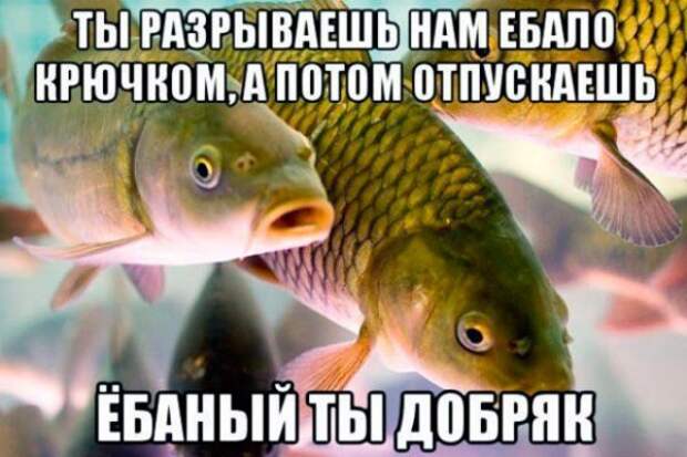 Картинки и мемы для настроения