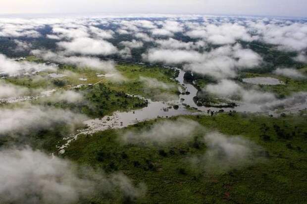 Национальный парк Garamba