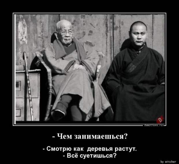 1587452393_demki-15.jpg