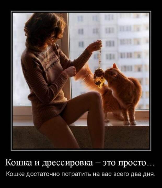 Подборка классных демотиваторов № 119