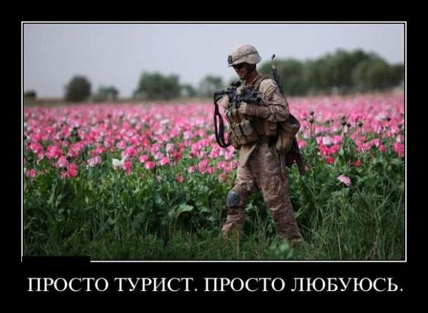 Демотиваторы (30 фото)