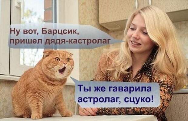 Смешные картинки с подписями катинки, прикол, юмор