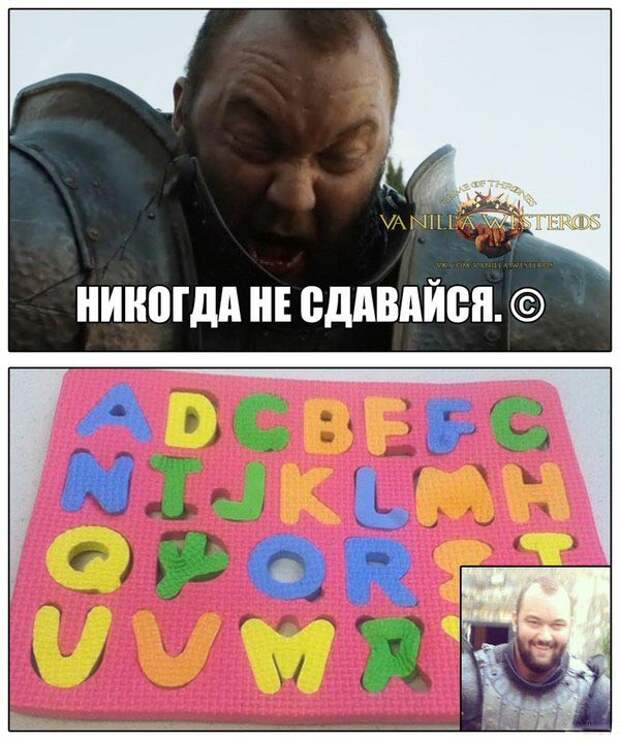 Смешные картинки с подписями катинки, прикол, юмор