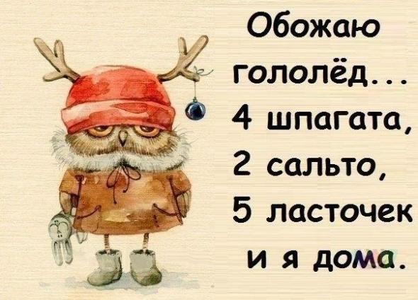 Картинки, юмор, приколы