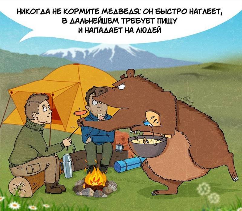 Московский художник нарисовал комикс о правилах поведения с медведями