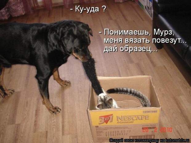 Мысли вслух :)