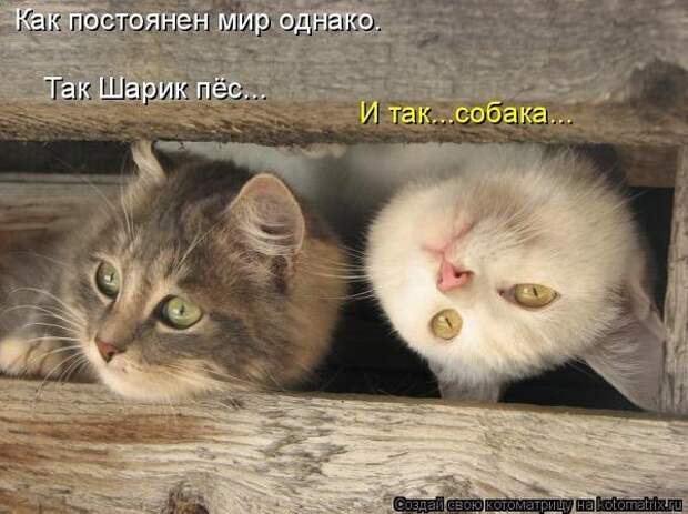 600x720-73404e5429b54ee7b5916638e82b8d28_103348 (600x449, 144Kb)
