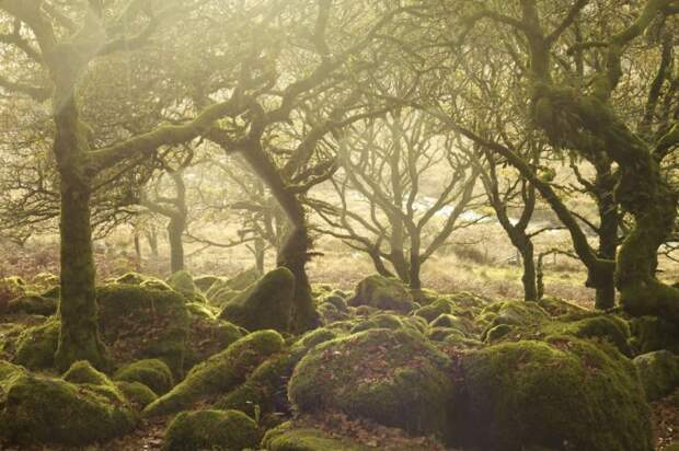 Холмистая болотистая местность в графстве Девон в Юго-Западной Англии, а также одноимённый национальный парк Великобритании.