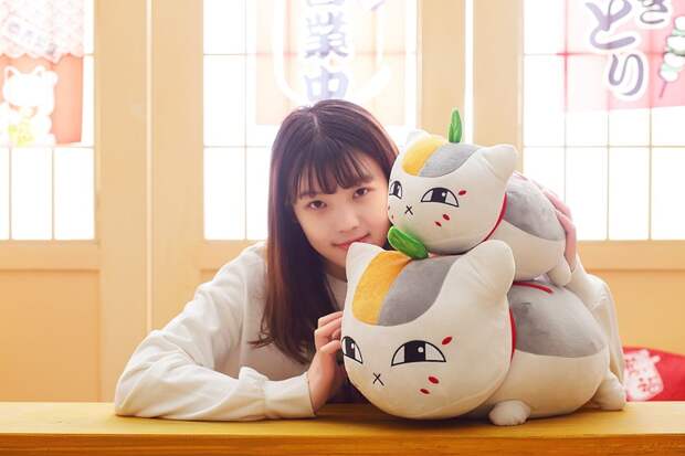 Как выглядят популярные в Японии игрушки