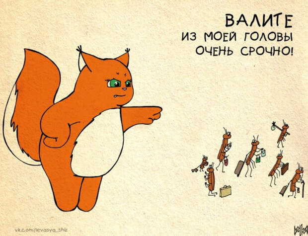 рыжая белочка крошка ши (17)