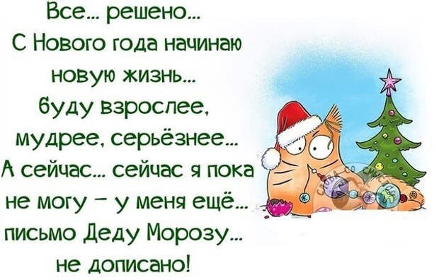 Немного новогодней «Правды жизни» (30 картинок)