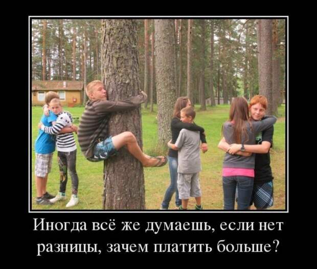 Демотиваторы (30 фото)