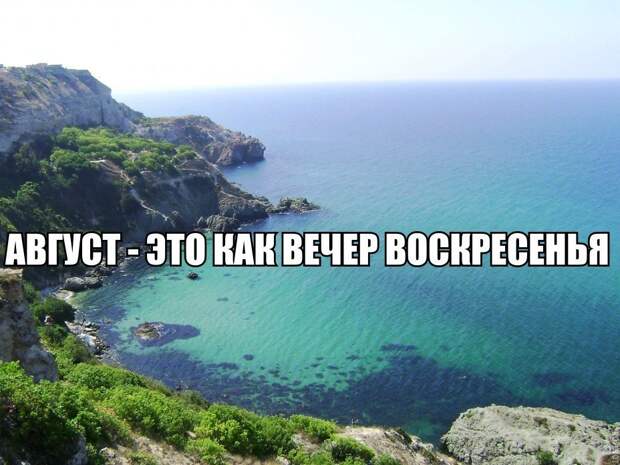 Смешные картинки с подписями картинки, прикол, юмор