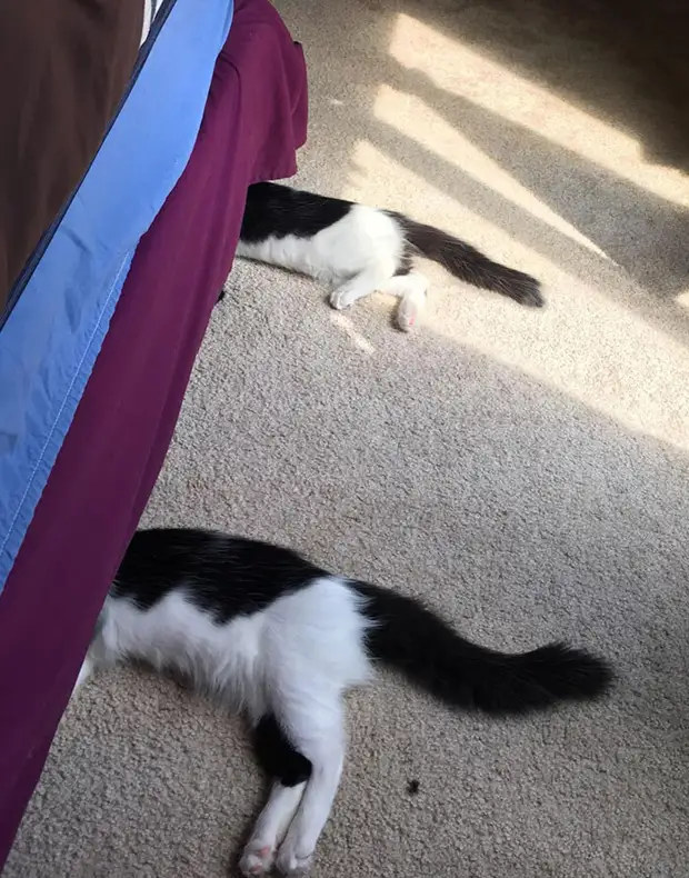 ���� � ������� ��� �������� ���������� � ���� ��������