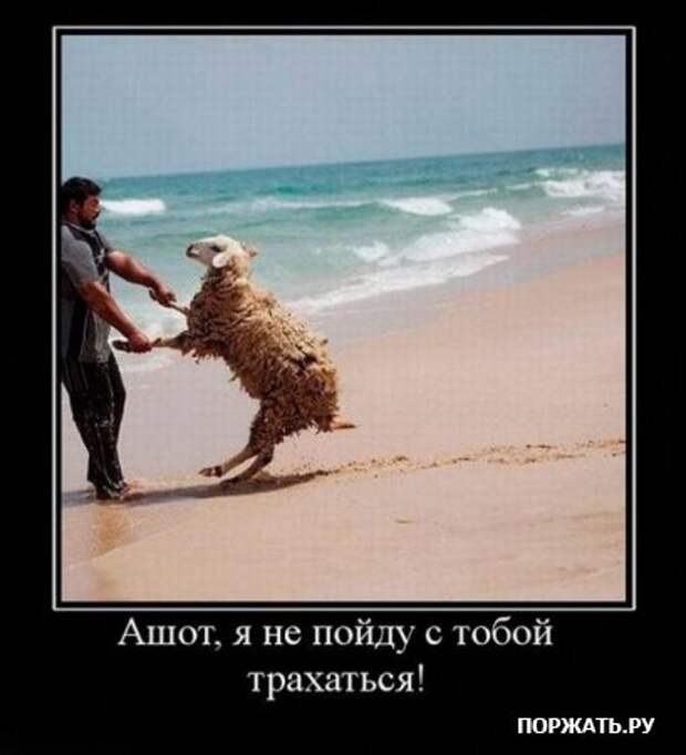 демотиваторы истории