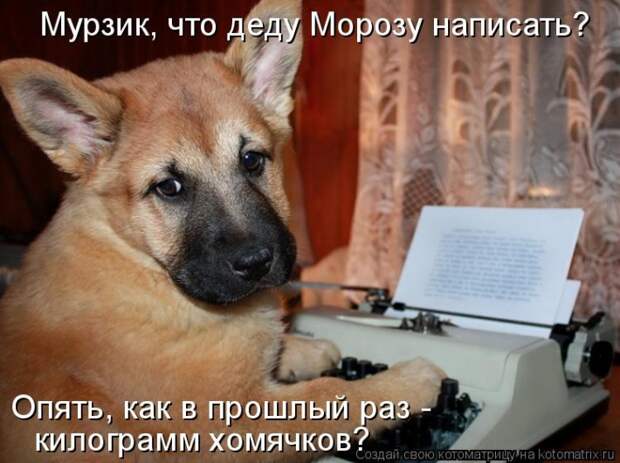 Мысли вслух - Ожидание Нового года