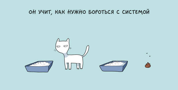 забавные причины завести кота