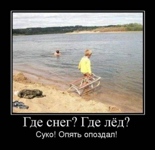 Демотиваторы приколы новые.