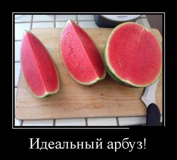 Идеальный арбуз демотиватор, юмор