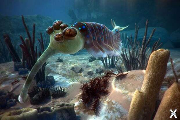 Opabinia regalis в представлении худо...