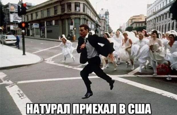 Смешные картинки с надписями прикол, юмор